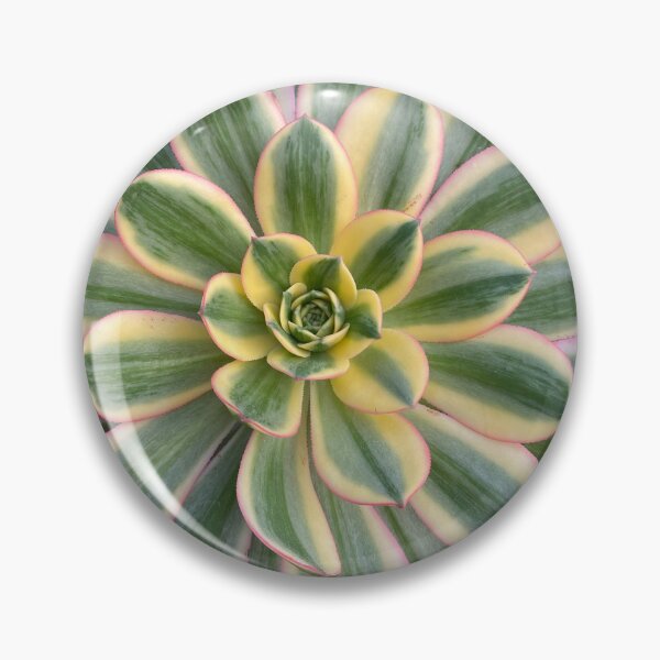 Item preview, Circle Succulent designed and sold by SucculentLovers.