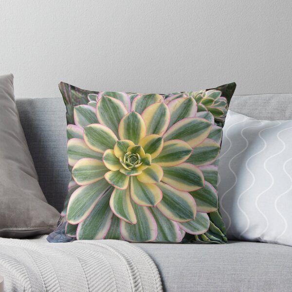 Item preview, Circle Succulent designed and sold by SucculentLovers.