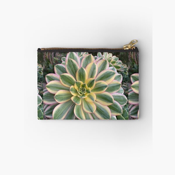 Item preview, Circle Succulent designed and sold by SucculentLovers.
