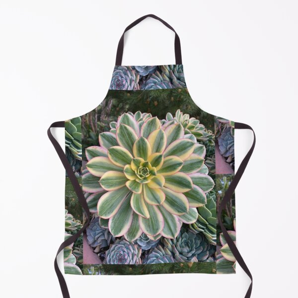 Item preview, Circle Succulent designed and sold by SucculentLovers.