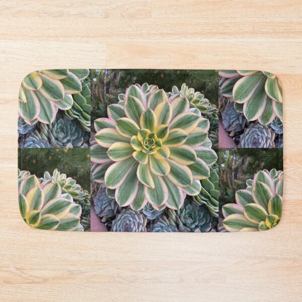 Item preview, Circle Succulent designed and sold by SucculentLovers.