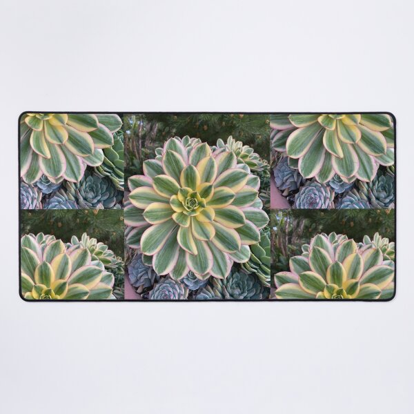 Item preview, Circle Succulent designed and sold by SucculentLovers.