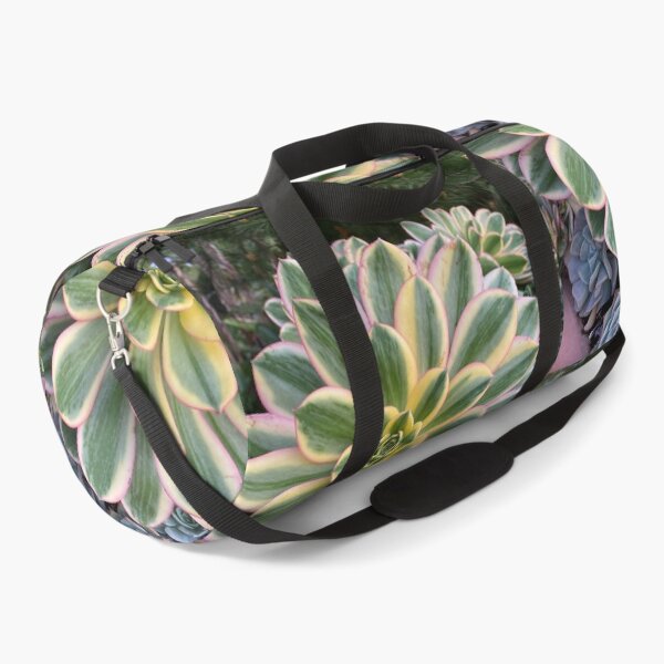 Item preview, Circle Succulent designed and sold by SucculentLovers.