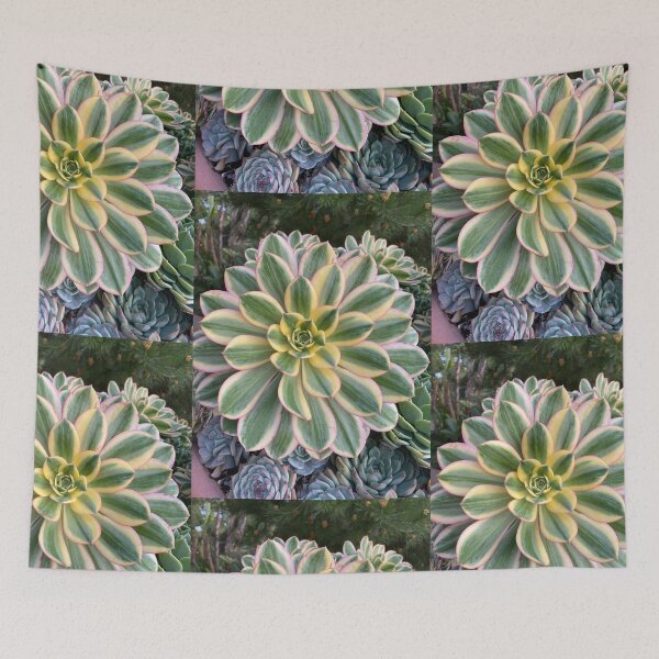 Item preview, Circle Succulent designed and sold by SucculentLovers.