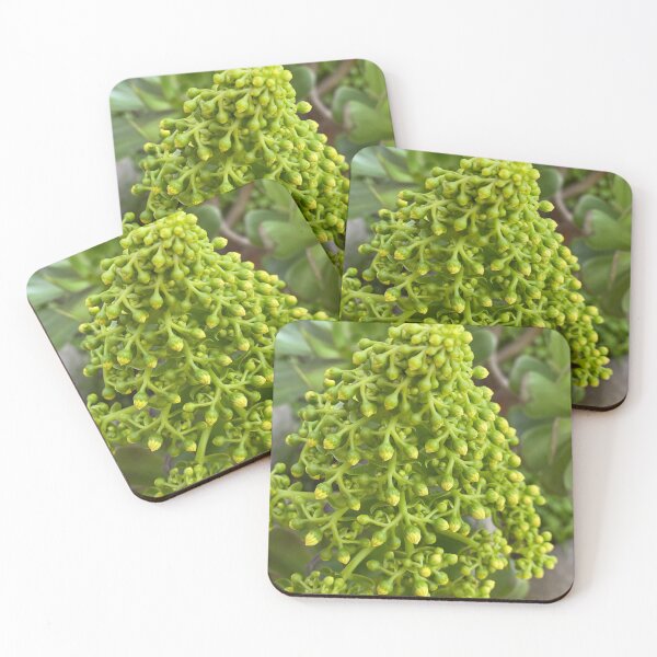 Item preview, Succulent Buds designed and sold by SucculentLovers.