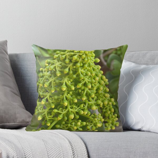 Item preview, Succulent Buds designed and sold by SucculentLovers.