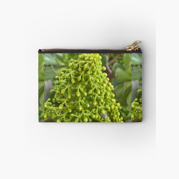 Item preview, Succulent Buds designed and sold by SucculentLovers.