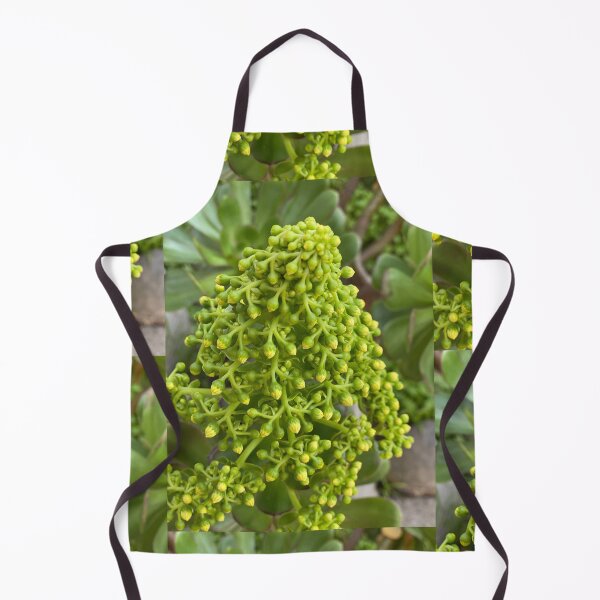 Item preview, Succulent Buds designed and sold by SucculentLovers.