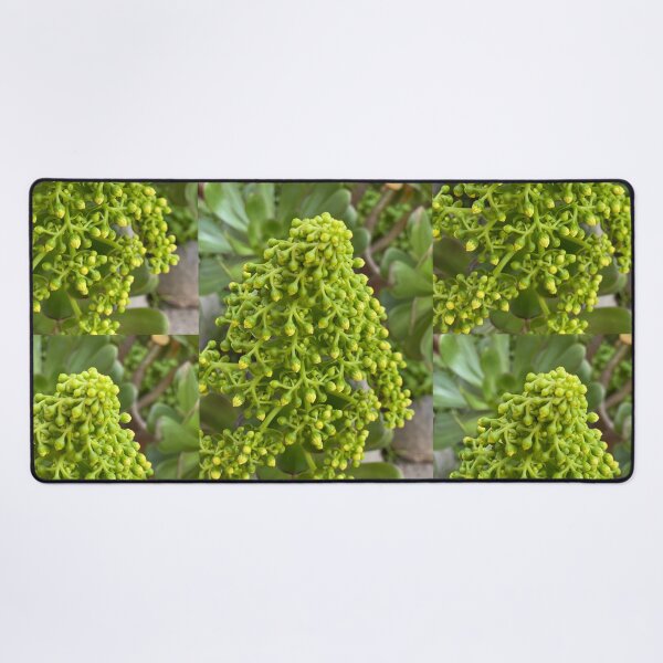Item preview, Succulent Buds designed and sold by SucculentLovers.