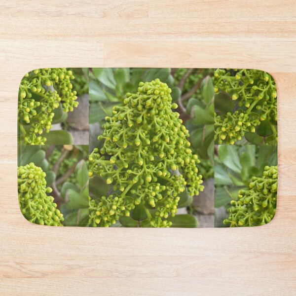 Item preview, Succulent Buds designed and sold by SucculentLovers.
