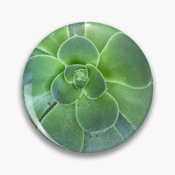 Item preview, After the Storm Succulent  designed and sold by SucculentLovers.