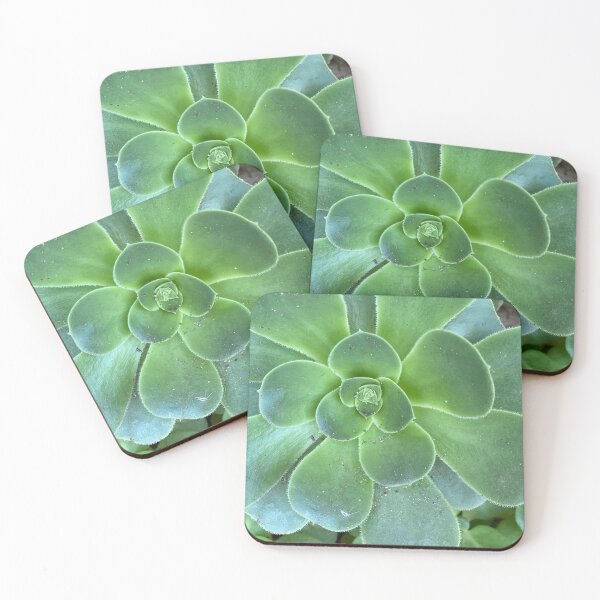 Item preview, After the Storm Succulent  designed and sold by SucculentLovers.