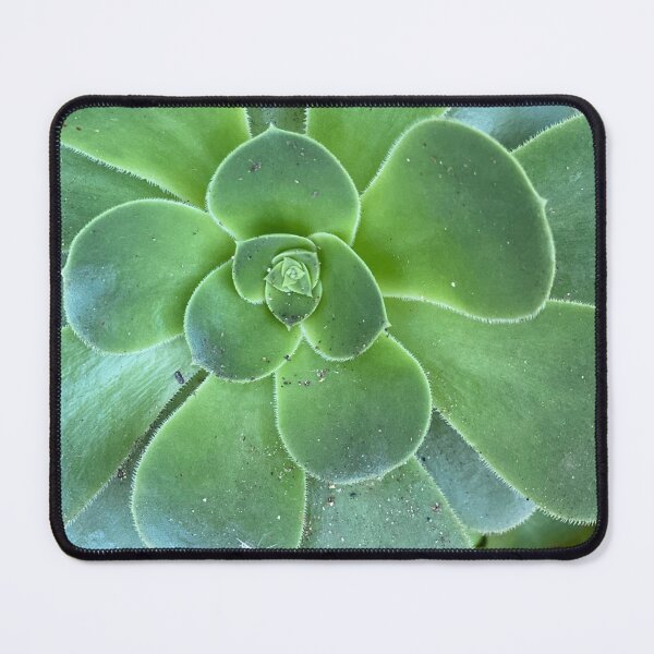Item preview, After the Storm Succulent designed and sold by SucculentLovers.