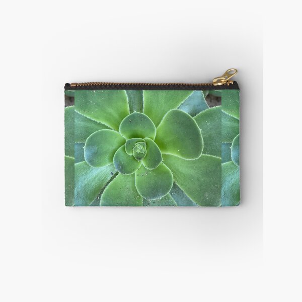 Item preview, After the Storm Succulent  designed and sold by SucculentLovers.