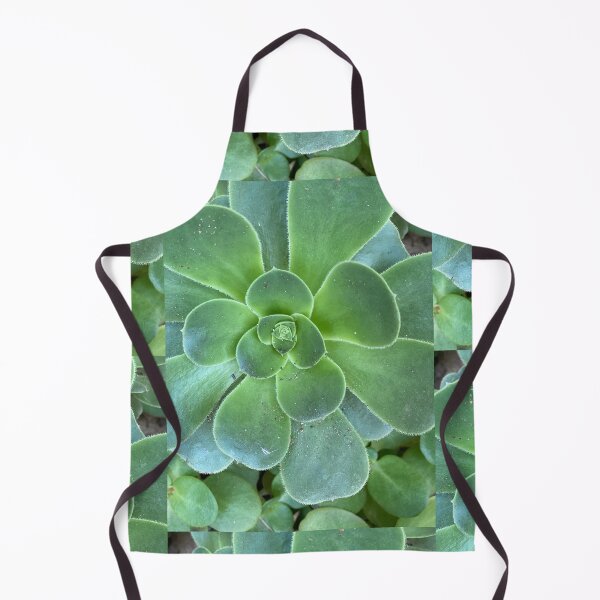 Item preview, After the Storm Succulent designed and sold by SucculentLovers.