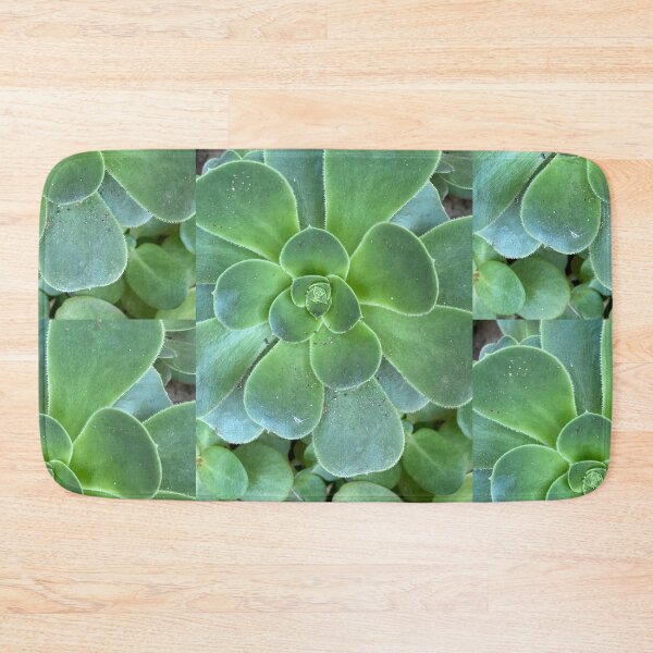 Item preview, After the Storm Succulent  designed and sold by SucculentLovers.