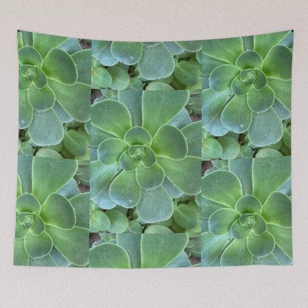 Item preview, After the Storm Succulent  designed and sold by SucculentLovers.