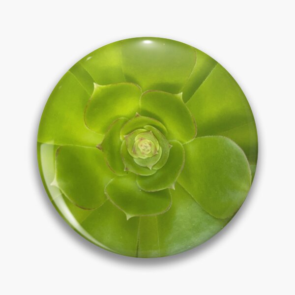 Item preview, Succulent Hello designed and sold by SucculentLovers.
