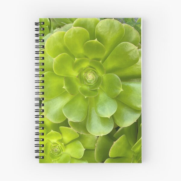 Item preview, Succulent Hello designed and sold by SucculentLovers.