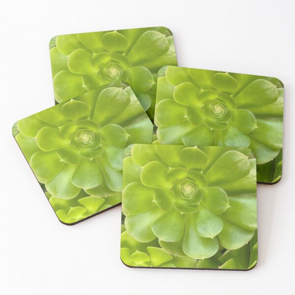 Item preview, Succulent Hello designed and sold by SucculentLovers.
