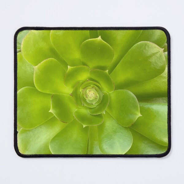 Item preview, Succulent Hello designed and sold by SucculentLovers.