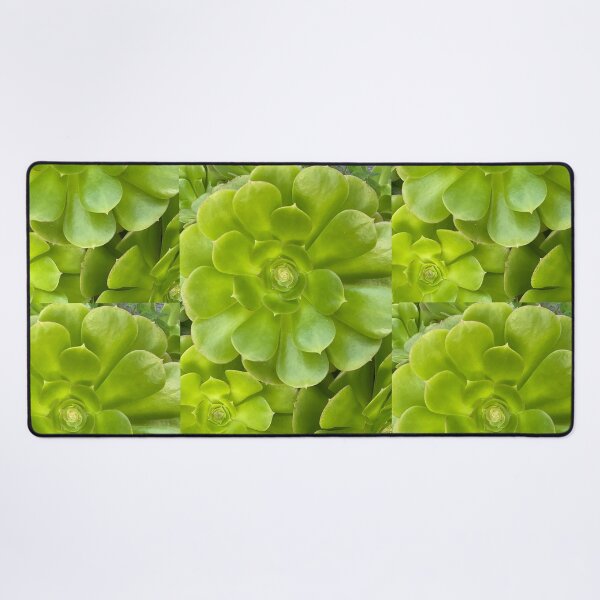 Item preview, Succulent Hello designed and sold by SucculentLovers.