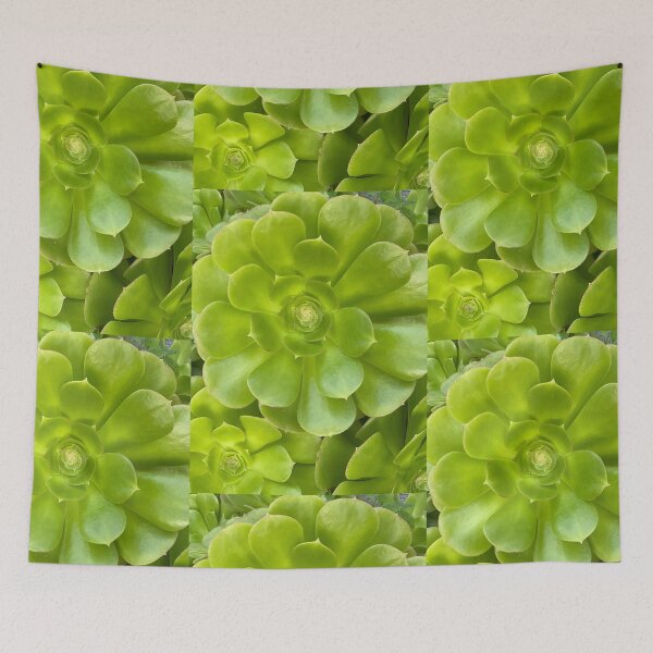 Item preview, Succulent Hello designed and sold by SucculentLovers.