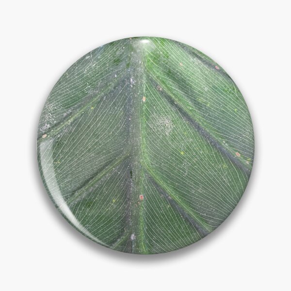 Item preview, Leaf Raw designed and sold by SucculentLovers.