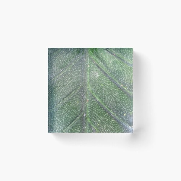 Item preview, Leaf Raw designed and sold by SucculentLovers.