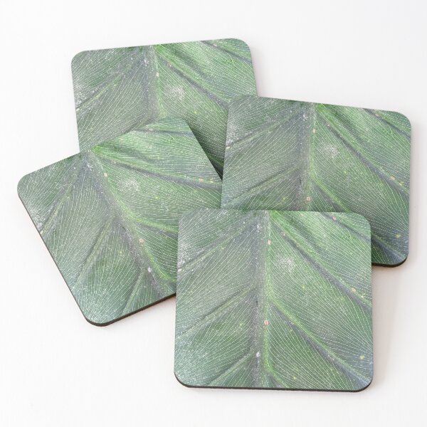 Item preview, Leaf Raw designed and sold by SucculentLovers.