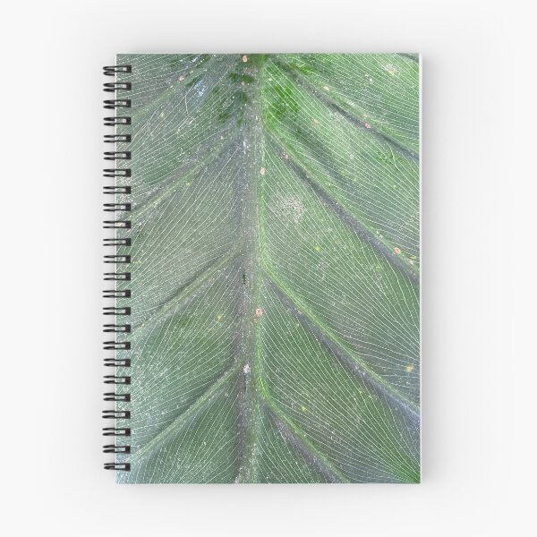 Item preview, Leaf Raw designed and sold by SucculentLovers.