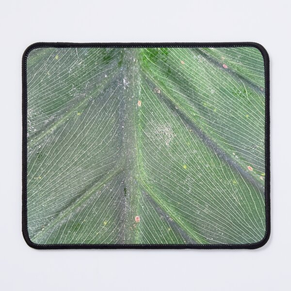 Item preview, Leaf Raw designed and sold by SucculentLovers.