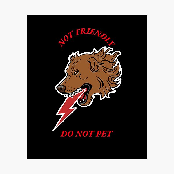 Item preview, Not Friendly, Do Not Pet designed and sold by Lilmoo31.