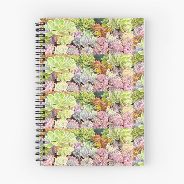 Item preview, Succulent Mix designed and sold by SucculentLovers.