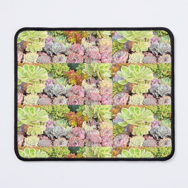 Item preview, Succulent Mix designed and sold by SucculentLovers.