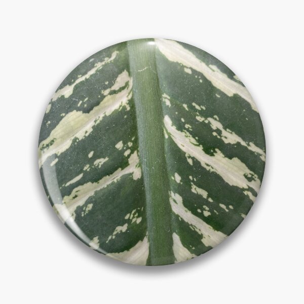 Item preview, Green Leaf  designed and sold by SucculentLovers.