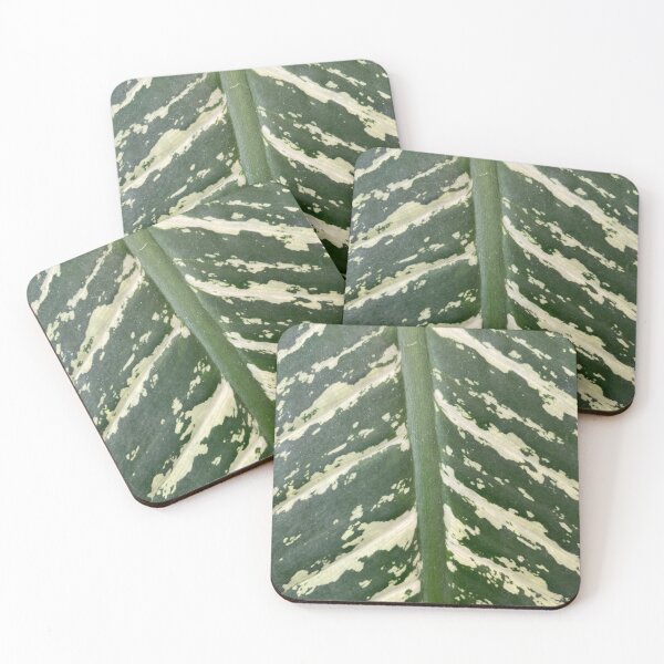 Green Leaf Coasters (Set of 4)