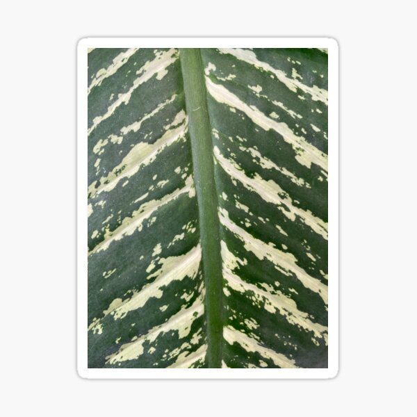 Green Leaf Sticker