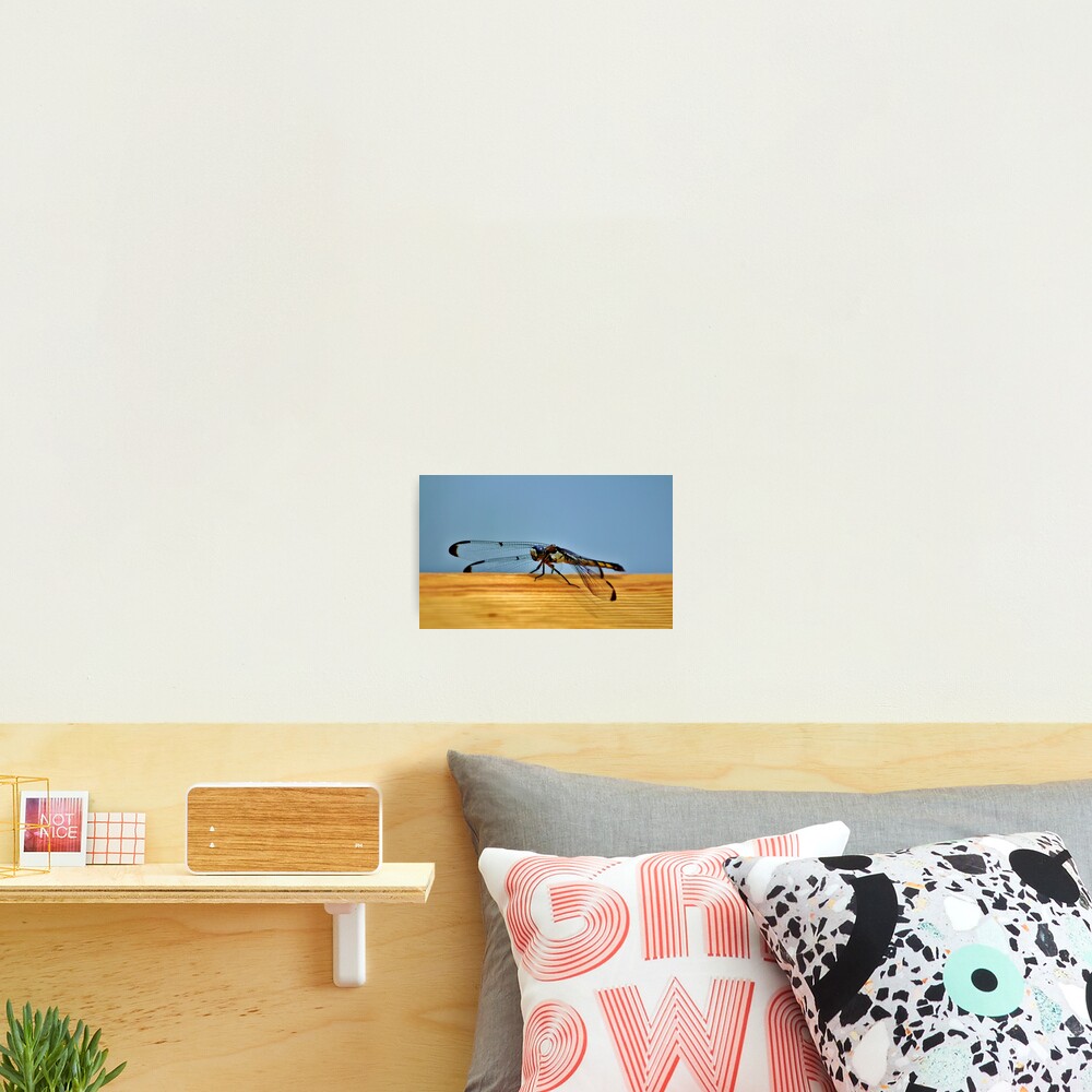 Item preview, Photographic Print designed and sold by Cynthia48.
