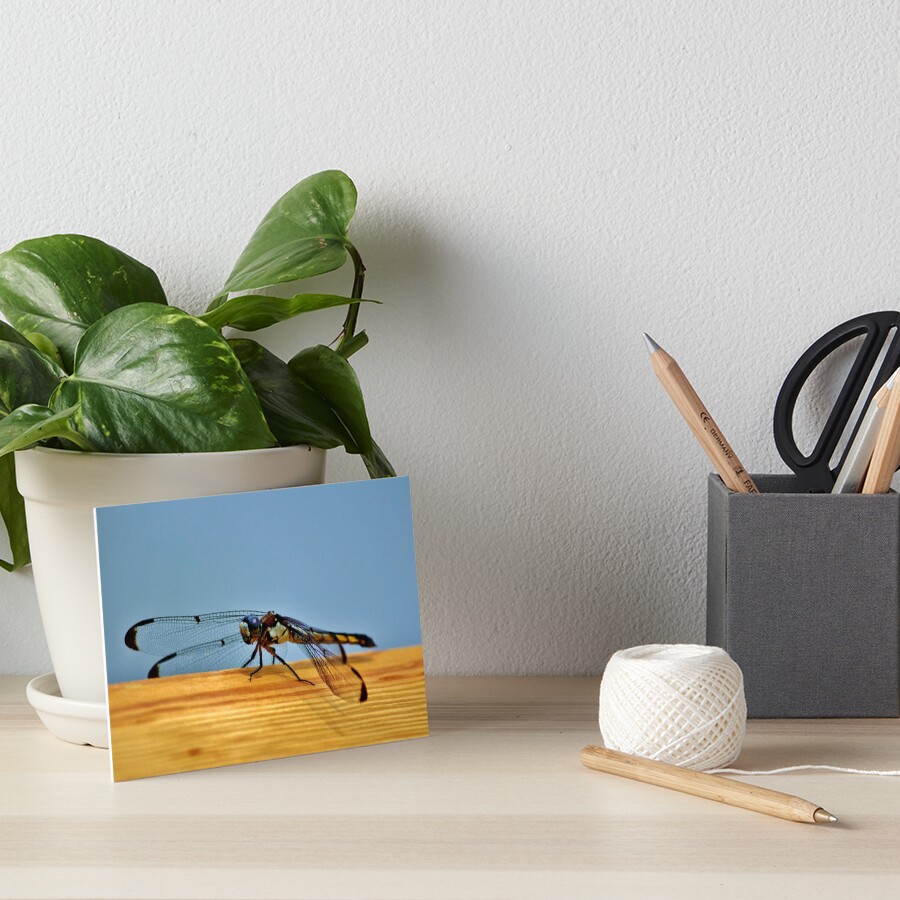 Item preview, Art Board Print designed and sold by Cynthia48.