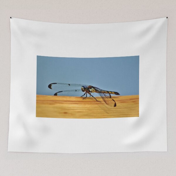 Item preview, Winged Insect designed and sold by Cynthia48.