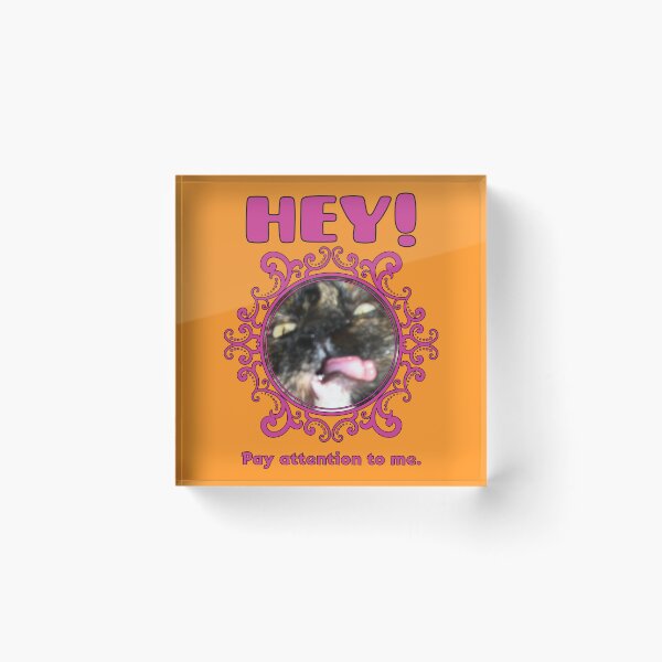 Item preview, Cat Hey Pay Attention To Me designed and sold by GatorDesign.