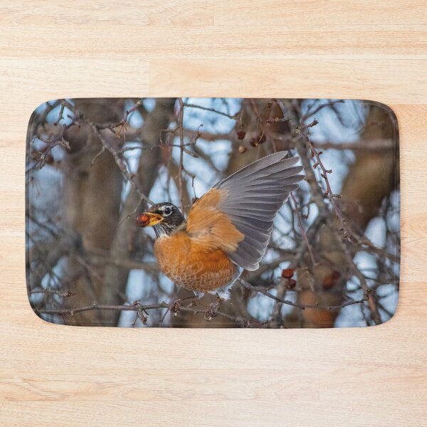 Item preview, Robin Snacking on a Winter Berry designed and sold by Split2ndPhotos.