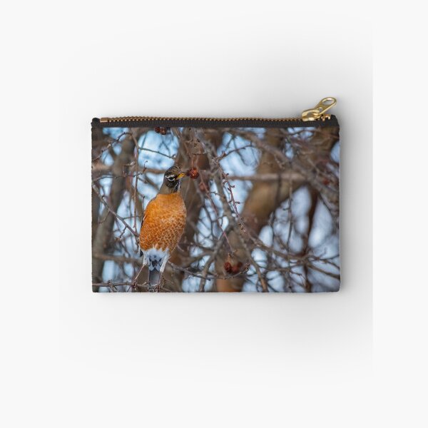 Item preview, Robin inspecting a berry for his midday snack designed and sold by Split2ndPhotos.