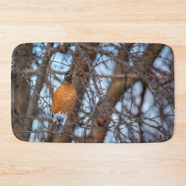 Item preview, Robin inspecting a berry for his midday snack designed and sold by Split2ndPhotos.