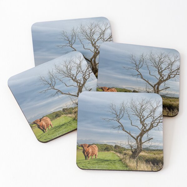 Item preview, Scottish Highland Cow designed and sold by Tom McPherson Photography.
