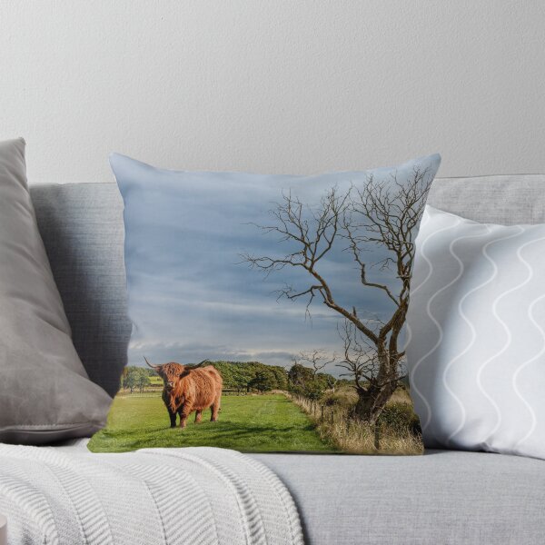 Item preview, Scottish Highland Cow designed and sold by Tom McPherson Photography.