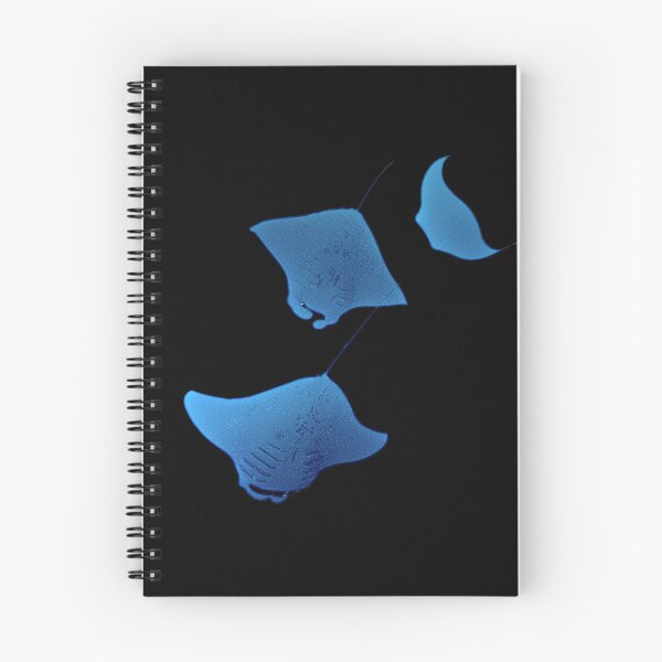 Artikelvorschau, Manta entworfen und verkauft von Marine Wonders.