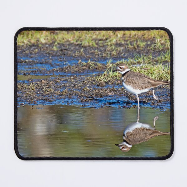 Item preview, Killdeer side-view with reflection designed and sold by lisavonbiela.