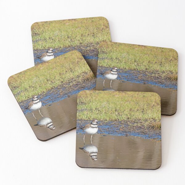 Item preview, Killdeer front view with reflection designed and sold by lisavonbiela.
